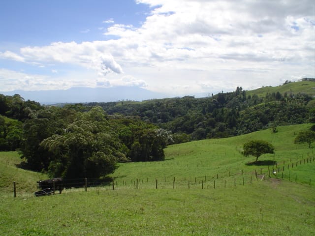 LOTE FILANDIA.jpg