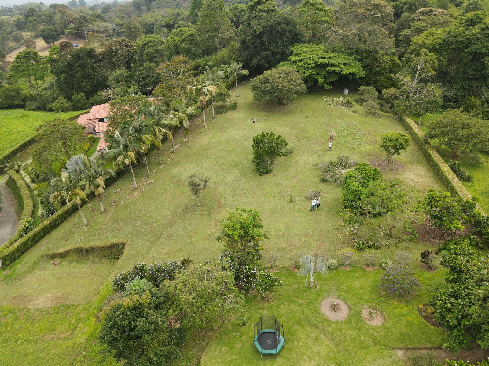 ade42824-8a7d-447c-9882-e5ec125402f1.jpg