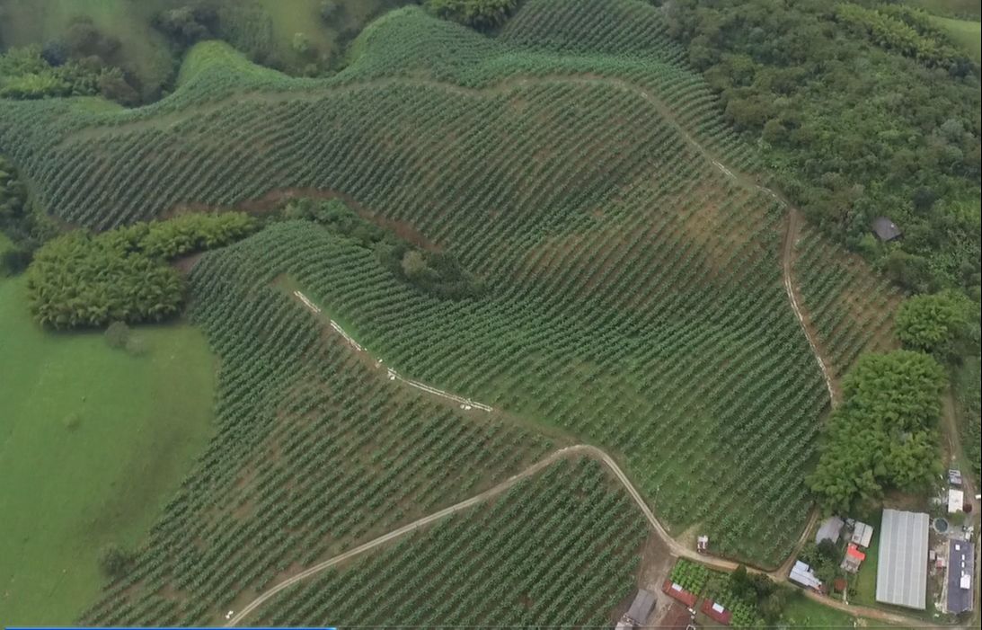 LOTES VENTA PARCELACION CAMPESTRE 5.jpg