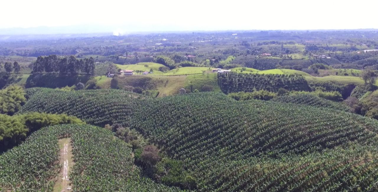 LOTES VENTA PARCELACION CAMPESTRE 9.jpg