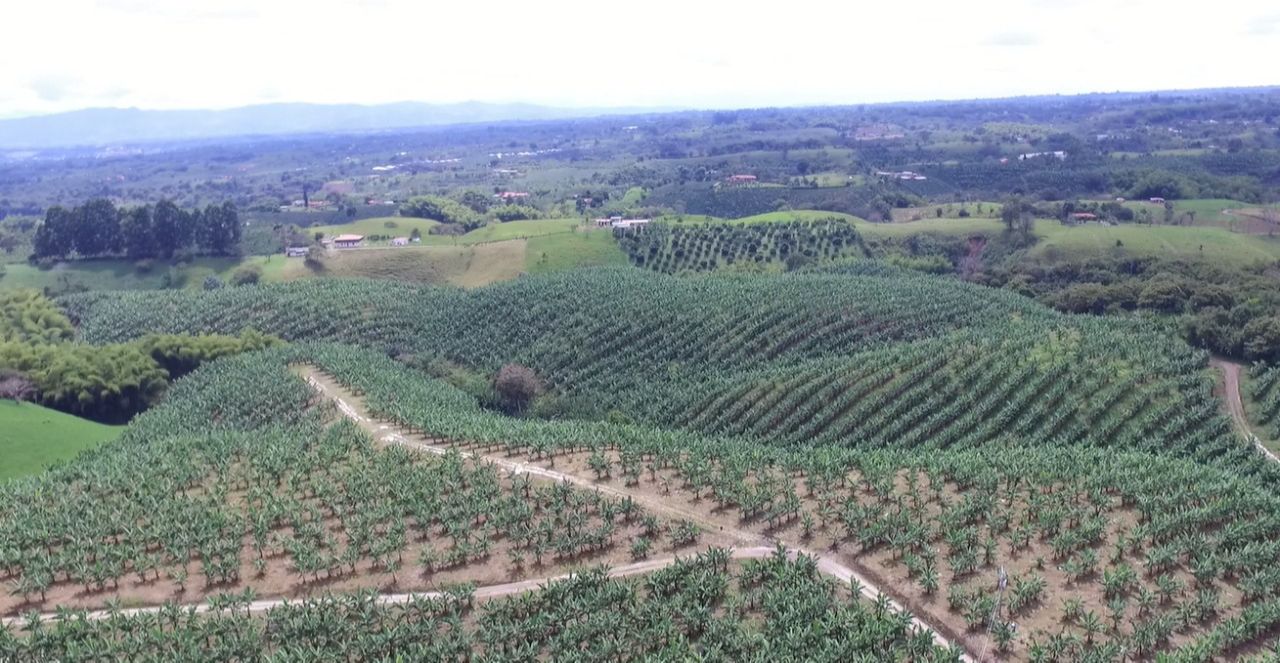 LOTES VENTA PARCELACION CAMPESTRE 10.jpg
