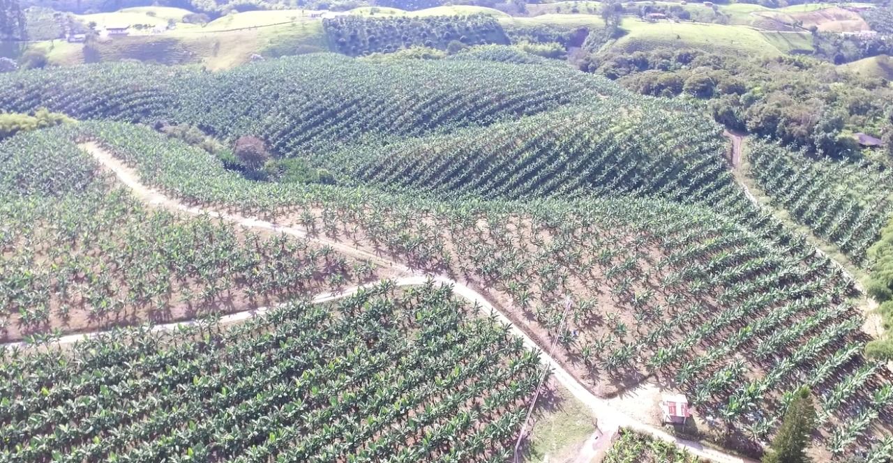 LOTES VENTA PARCELACION CAMPESTRE 13.jpg