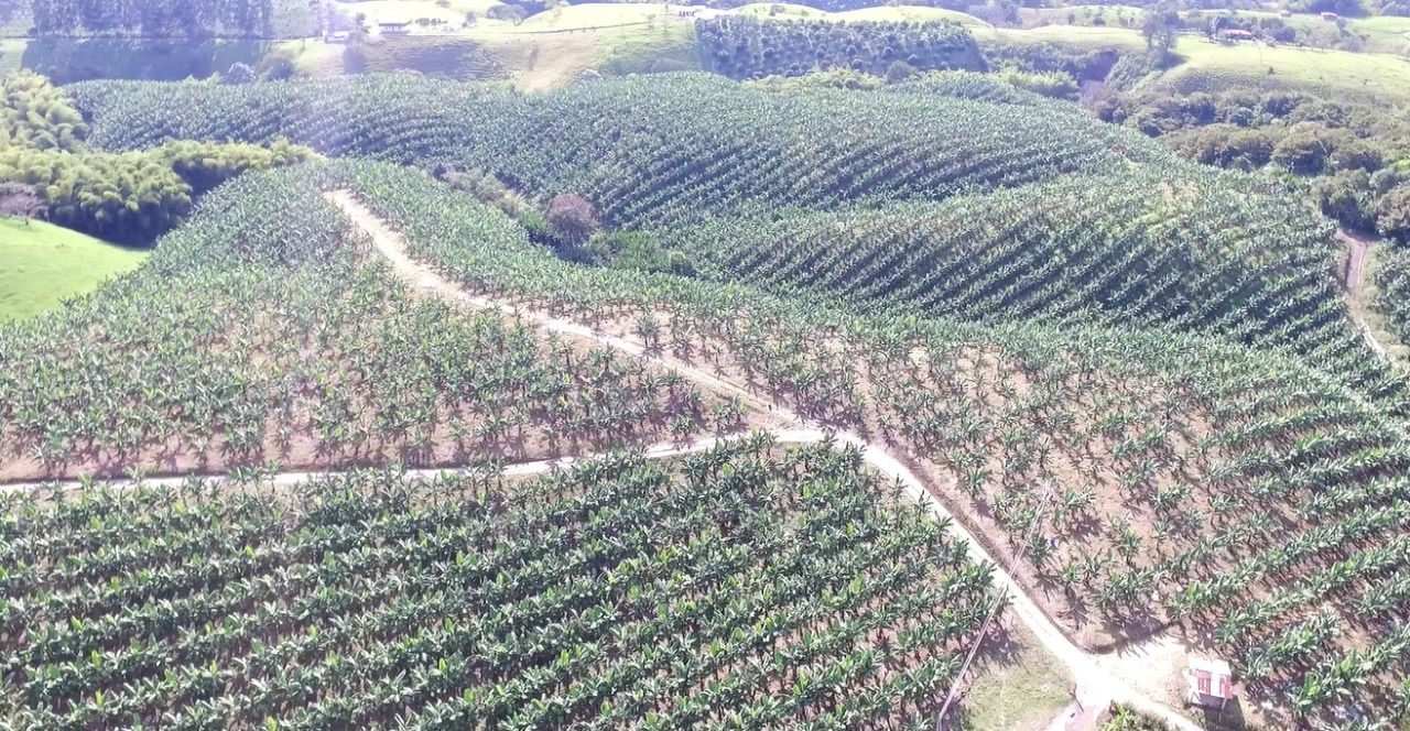 LOTES VENTA PARCELACION CAMPESTRE 14.jpg