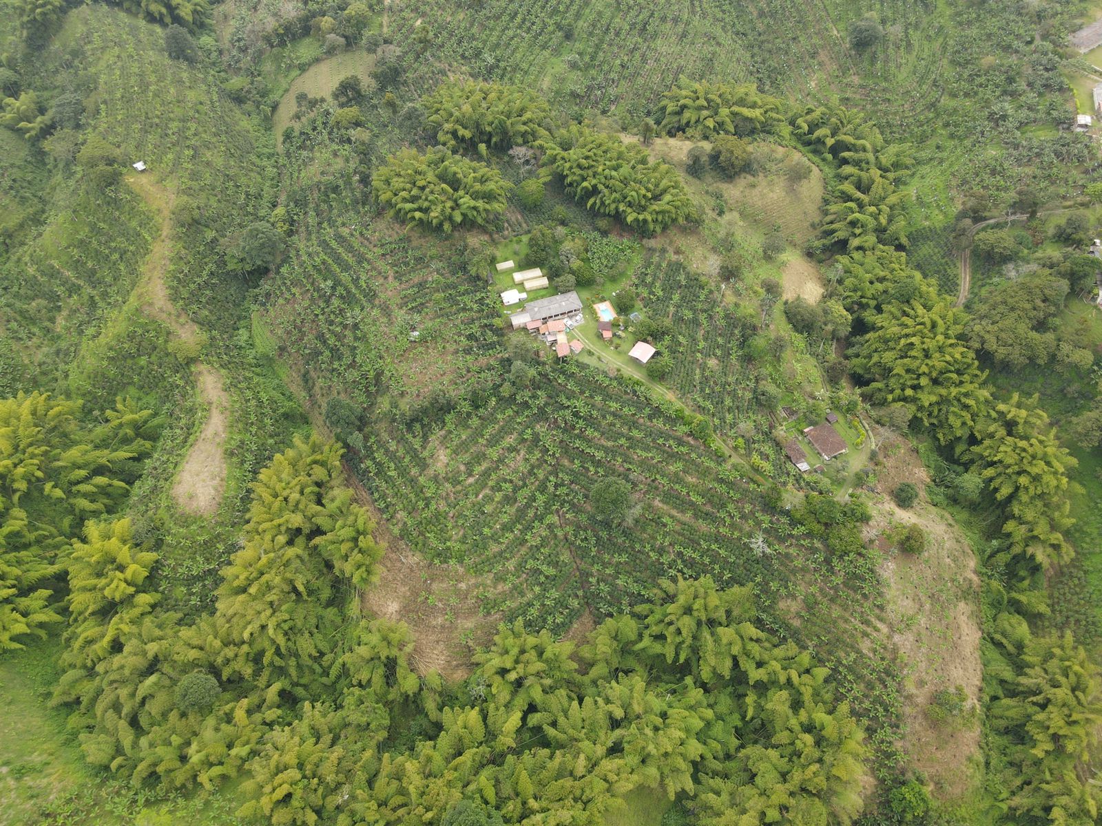 se vende finca en filandia 9.jpg