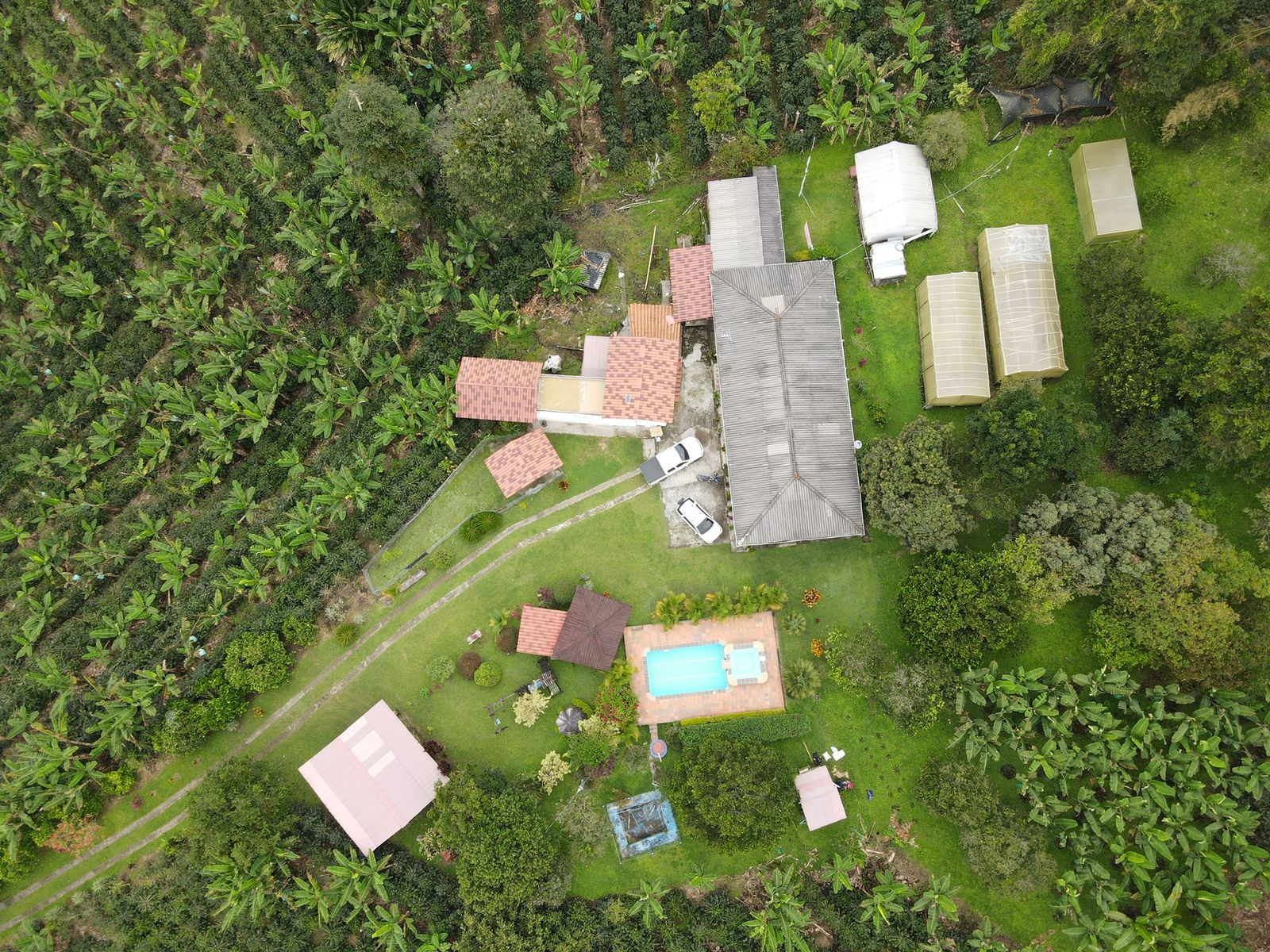 se vende finca en filandia 10.jpg