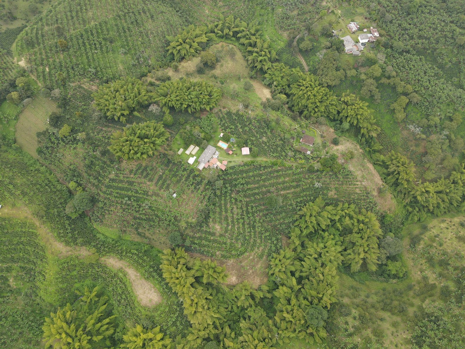 se vende finca en filandia 11.jpg