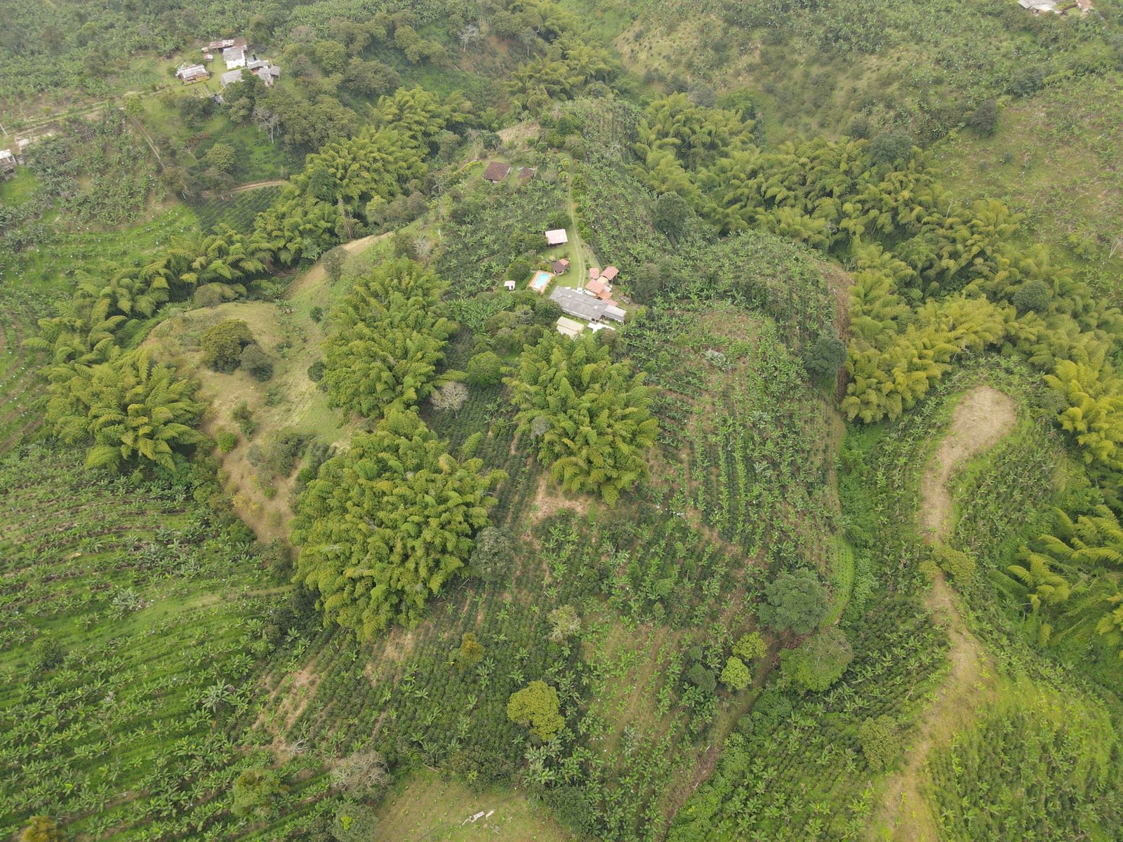 se vende finca en filandia 12.jpg