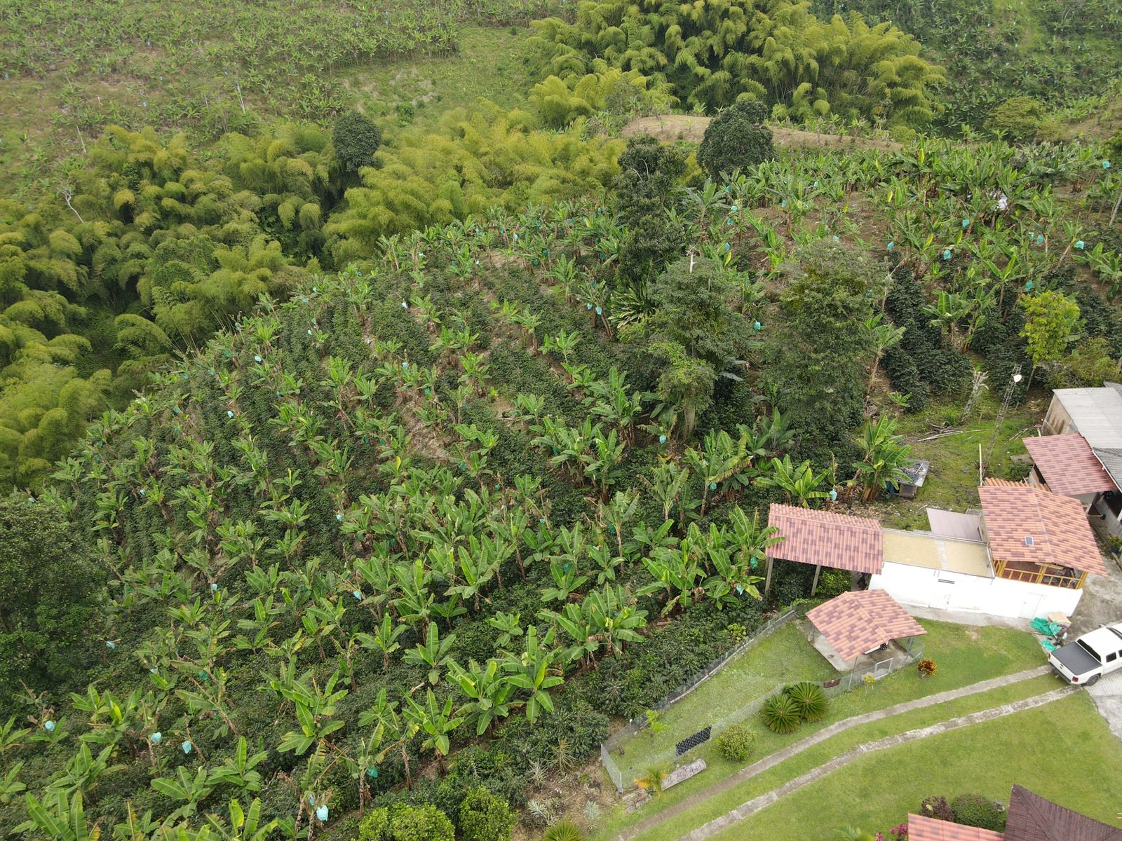 se vende finca en filandia.jpg