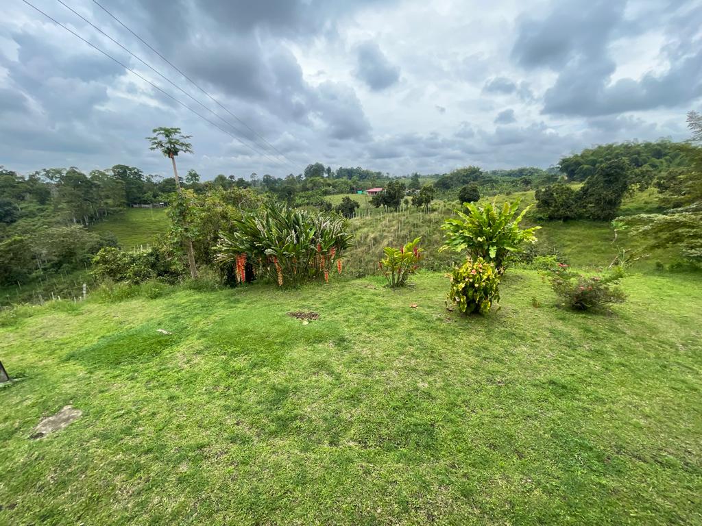 Se Vende Finca Turistica Sector Circasia Montenegro Quindio 19.jpeg