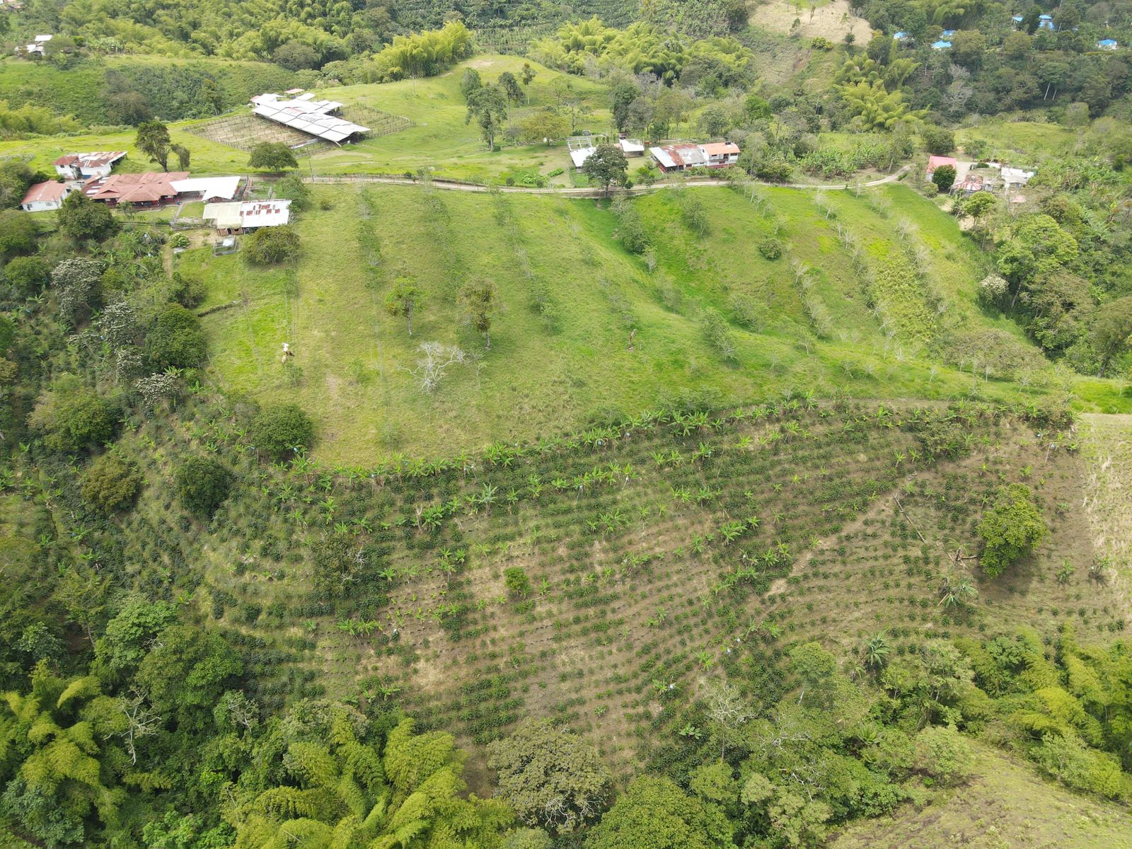 Se Vende Hermosa Finca Sector Vereda Barcelona Baja Circasia Montenegro (18).jpeg