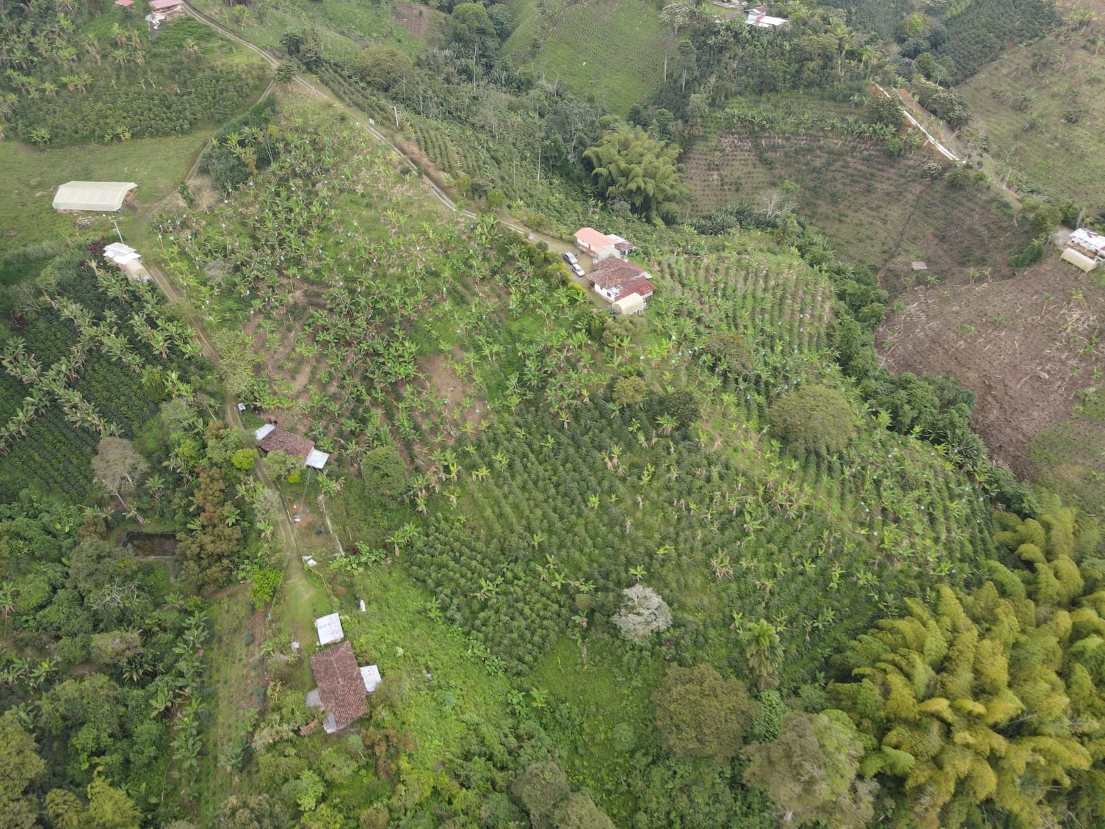 Se Vende Hermosa Finca En La Vía Del Municipio Filandia Hacia La Vereda La India (9).jpeg