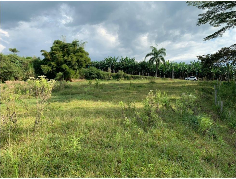 Se Vende Lote Industrial Y Comercial Vía Armenia La Tebaida  (14).jpg