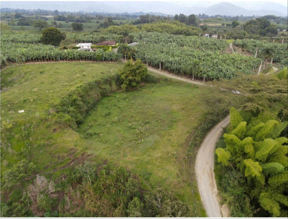 Se Vende Lote Industrial Y Comercial Vía Armenia La Tebaida  (9).jpg