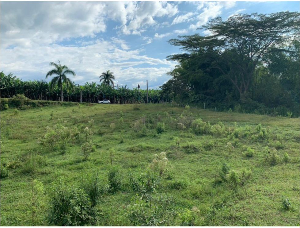 Se Vende Lote Industrial Y Comercial Vía Armenia La Tebaida  (8).jpg