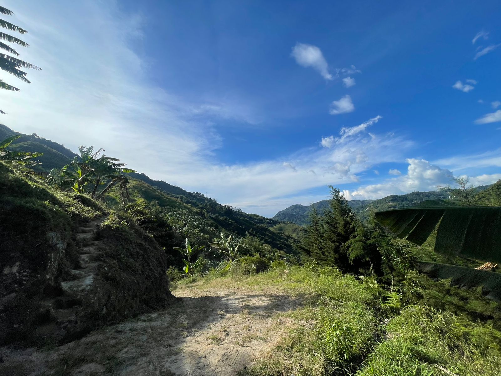 Se Vende Hermosa Finca A 7KM Del Municipio De Calarca (2).jpeg