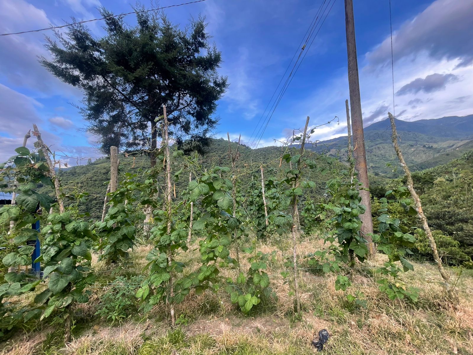 Se Vende Hermosa Finca A 7KM Del Municipio De Calarca (4).jpeg