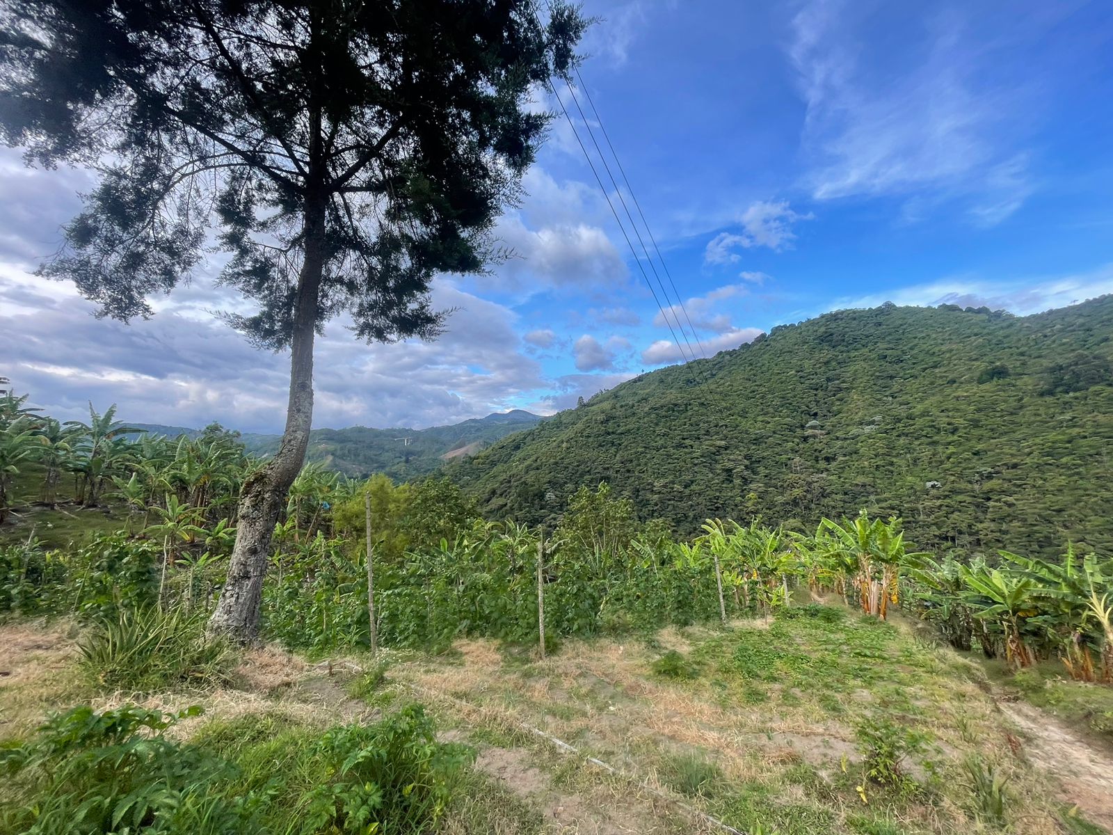 Se Vende Hermosa Finca A 7KM Del Municipio De Calarca (5).jpeg
