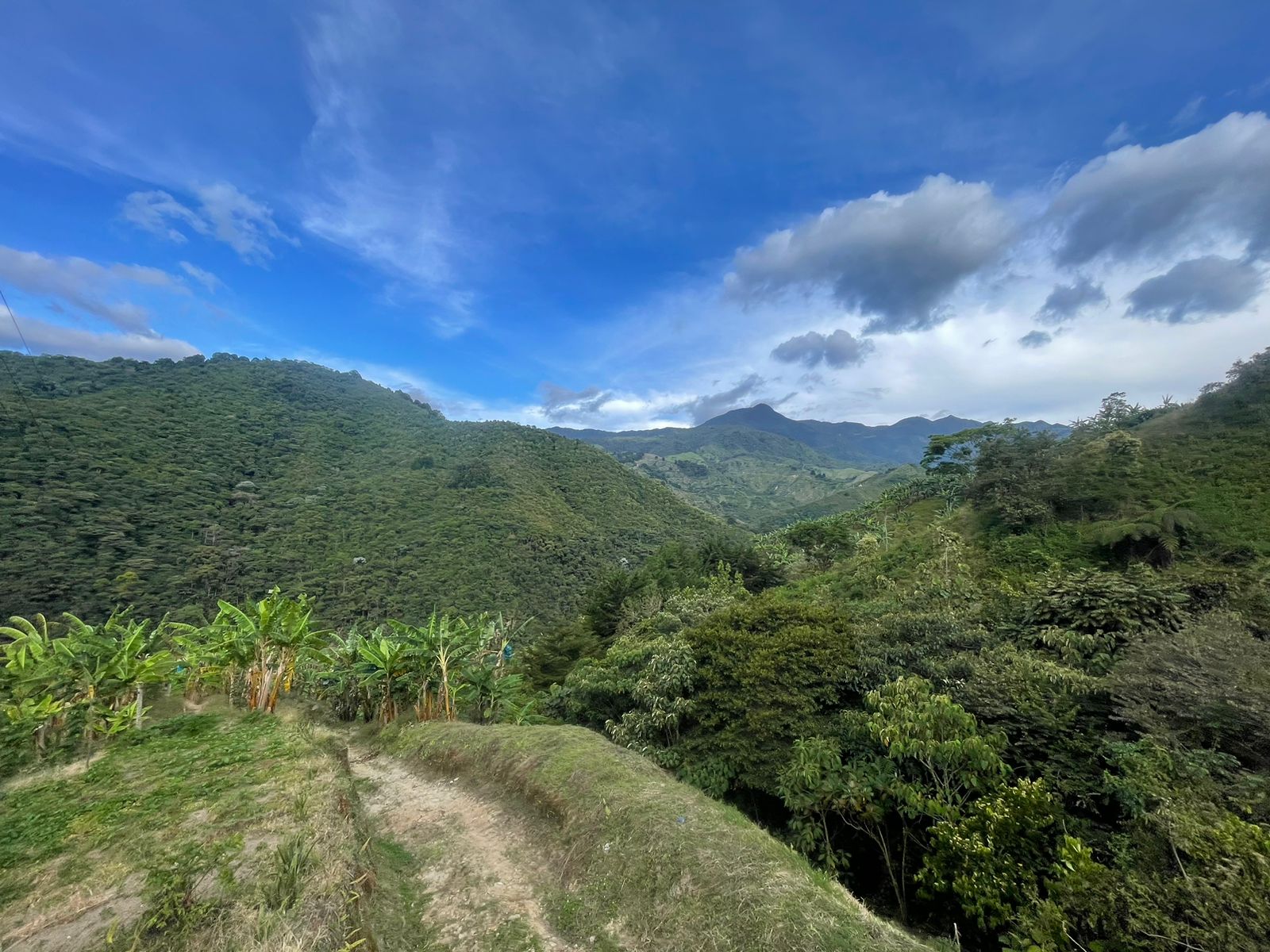 Se Vende Hermosa Finca A 7KM Del Municipio De Calarca (6).jpeg