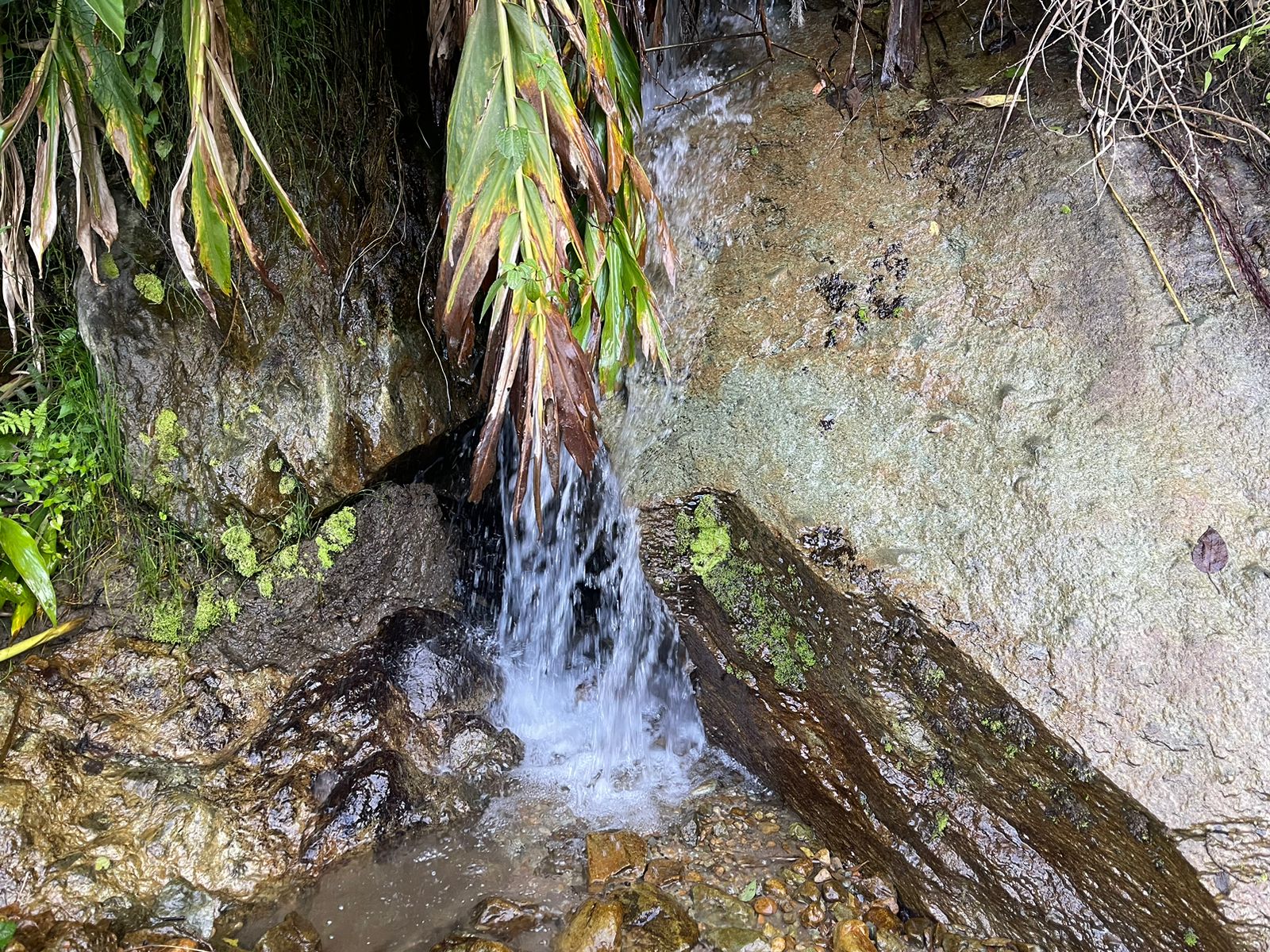 Se Vende Hermosa Finca A 7KM Del Municipio De Calarca (12).jpeg
