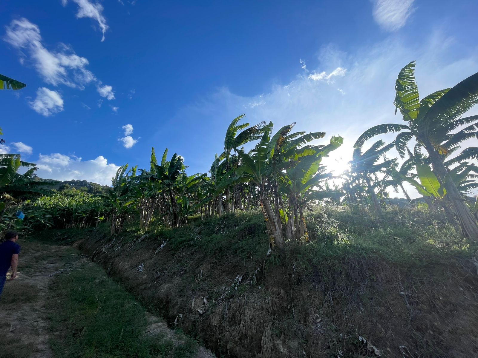 Se Vende Hermosa Finca A 7KM Del Municipio De Calarca (14).jpeg