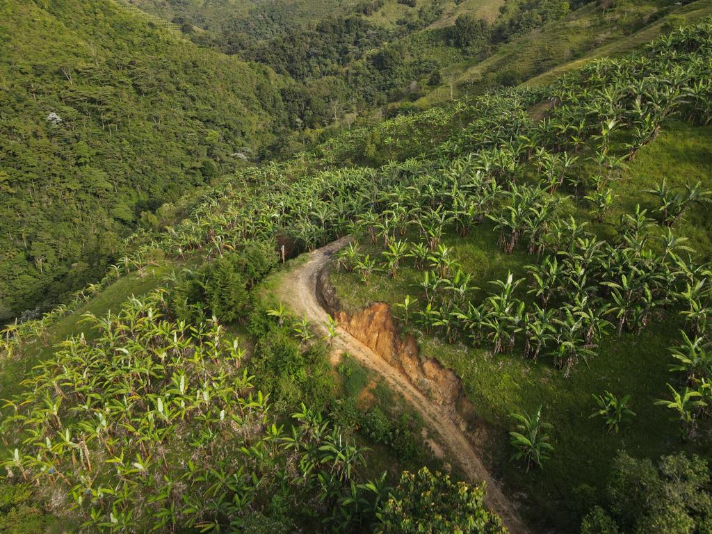 Se Vende Hermosa Finca A 7KM Del Municipio De Calarca (18).jpeg