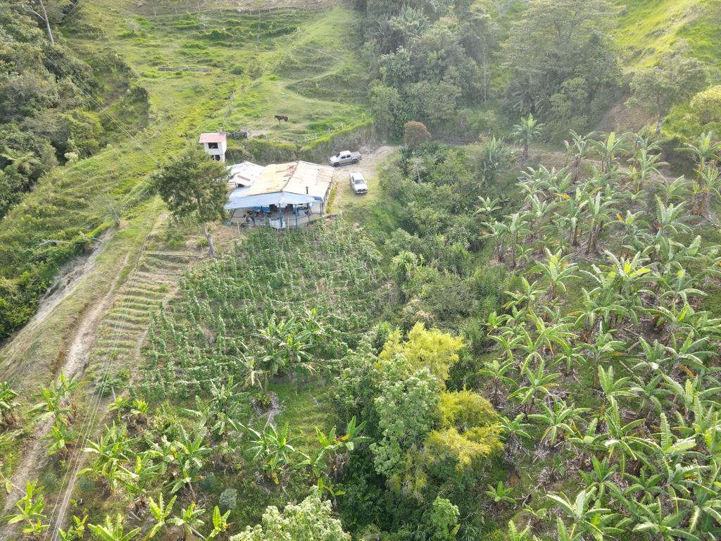 Se Vende Hermosa Finca A 7KM Del Municipio De Calarca (24).jpeg