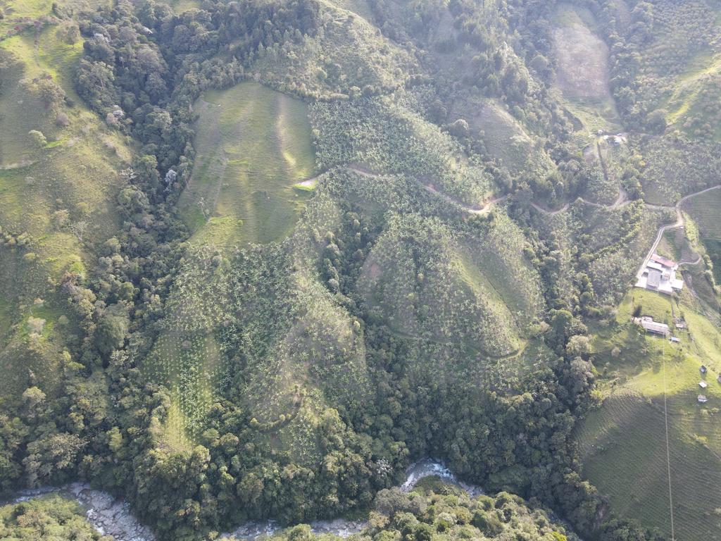 Se Vende Hermosa Finca A 7KM Del Municipio De Calarca (32).jpeg