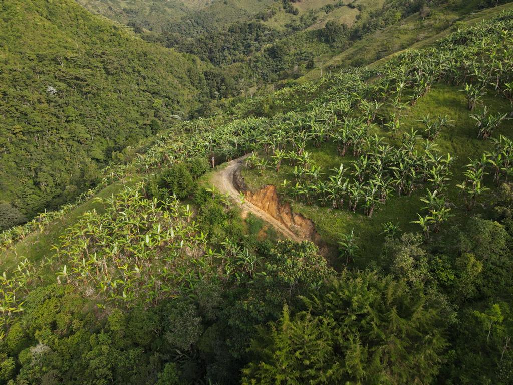Se Vende Hermosa Finca A 7KM Del Municipio De Calarca (19).jpeg