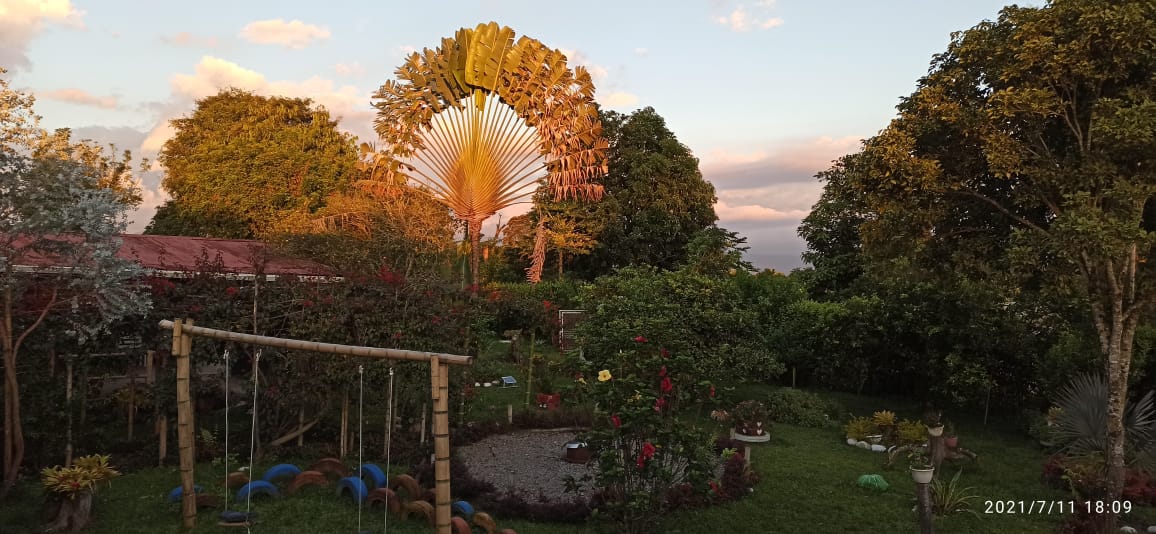 Finca Para La Venta Montenegro Quindio (9).jpeg