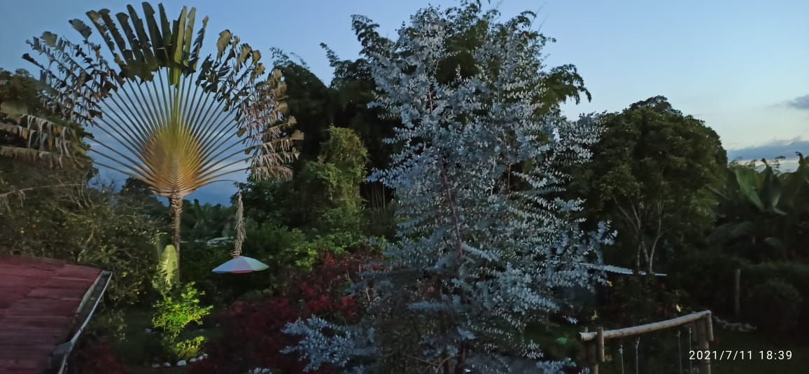 Finca Para La Venta Montenegro Quindio (13).jpeg