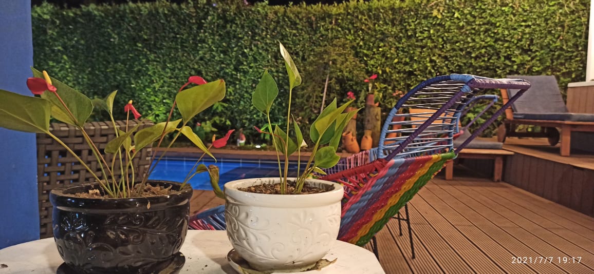 Finca Para La Venta Montenegro Quindio (15).jpeg