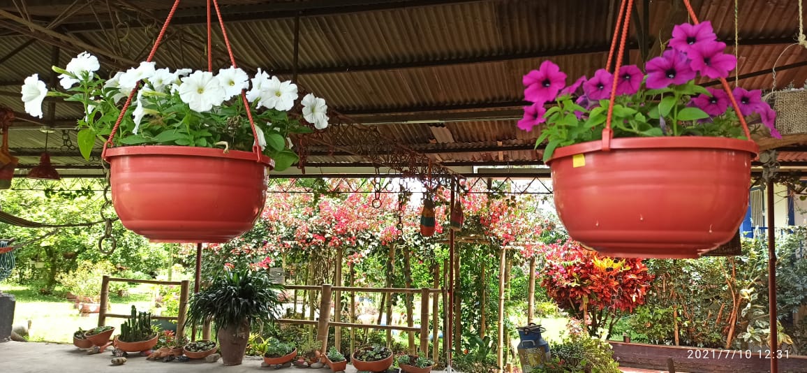 Finca Para La Venta Montenegro Quindio (18).jpeg