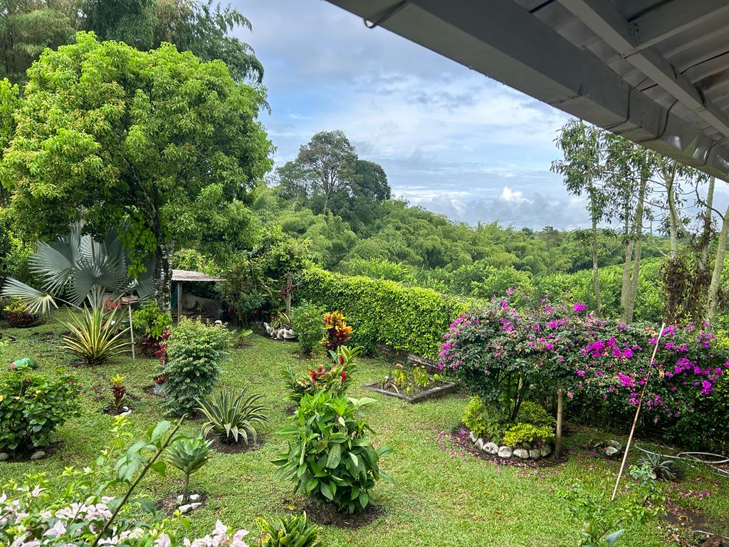 Finca Para La Venta Montenegro Quindio (20).jpeg