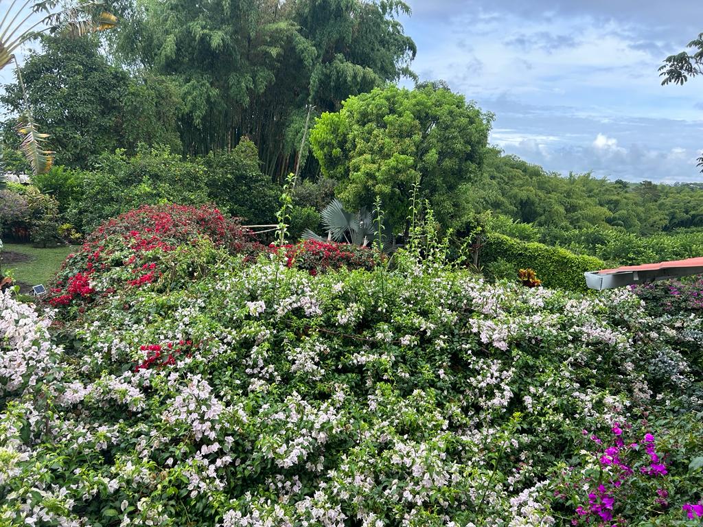 Finca Para La Venta Montenegro Quindio (21).jpeg