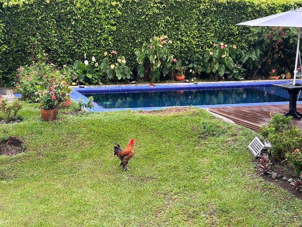 Finca Para La Venta Montenegro Quindio (23).jpeg