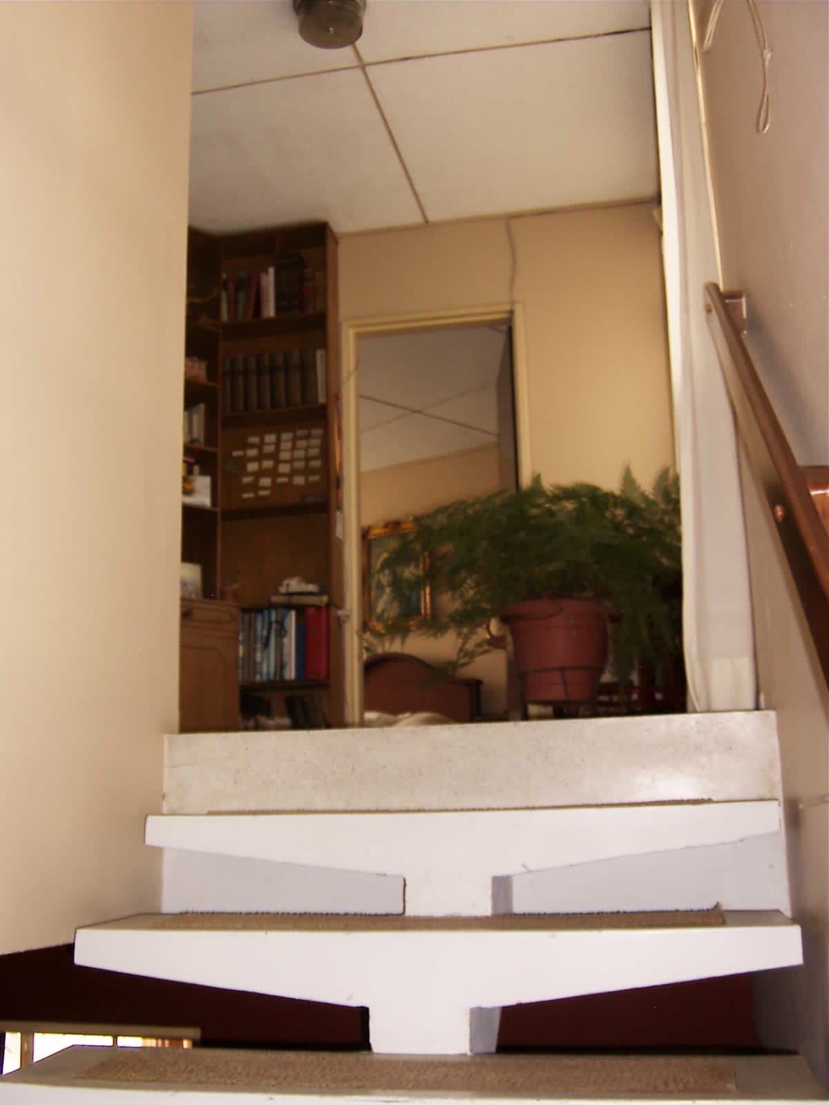 Casa Para La Venta SectorNueva Cecilia Armenia Quindio (23).jpeg