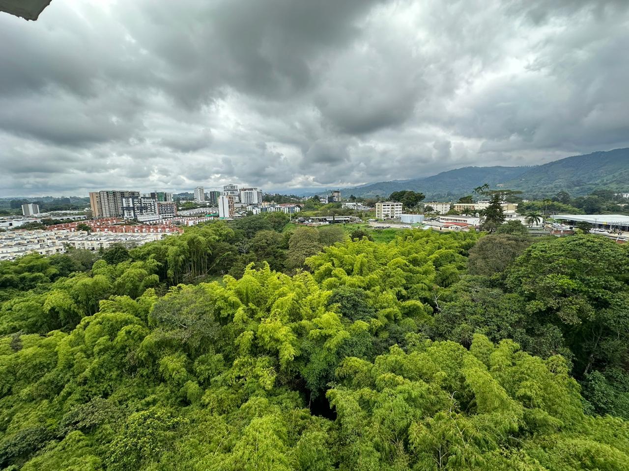 APARTAMENTO AMOBLADO BARRIO LAURELES (12).jpeg