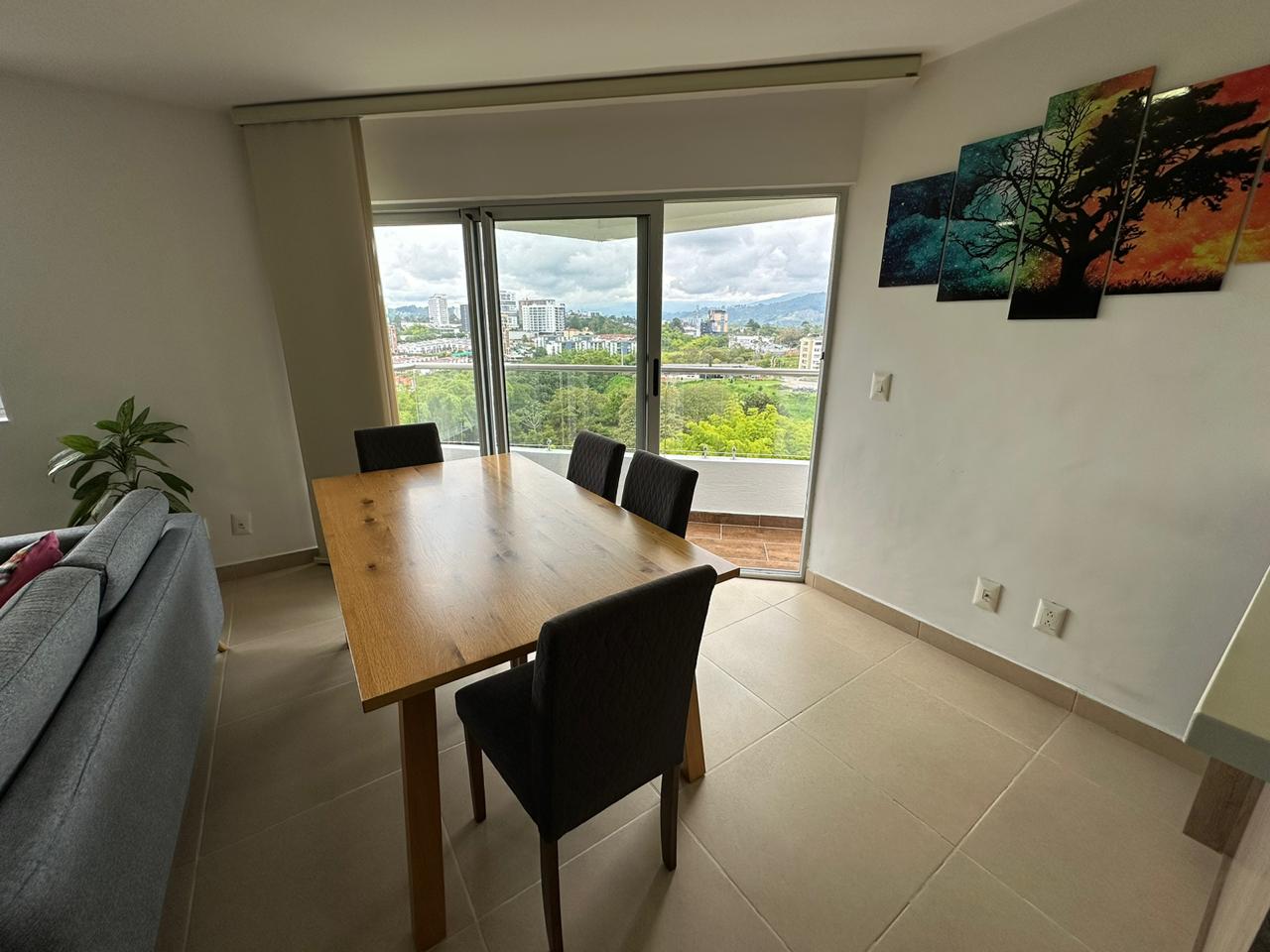 APARTAMENTO AMOBLADO BARRIO LAURELES (13).jpeg