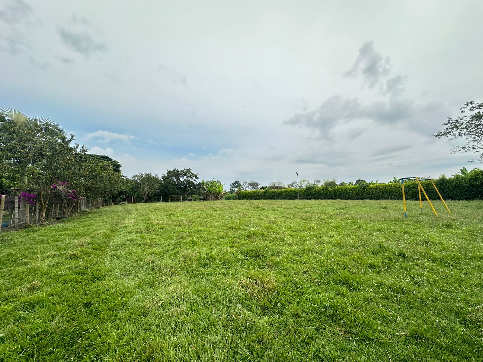 SE VENDE FINCA  EN MONTENEGRO (7).jpg