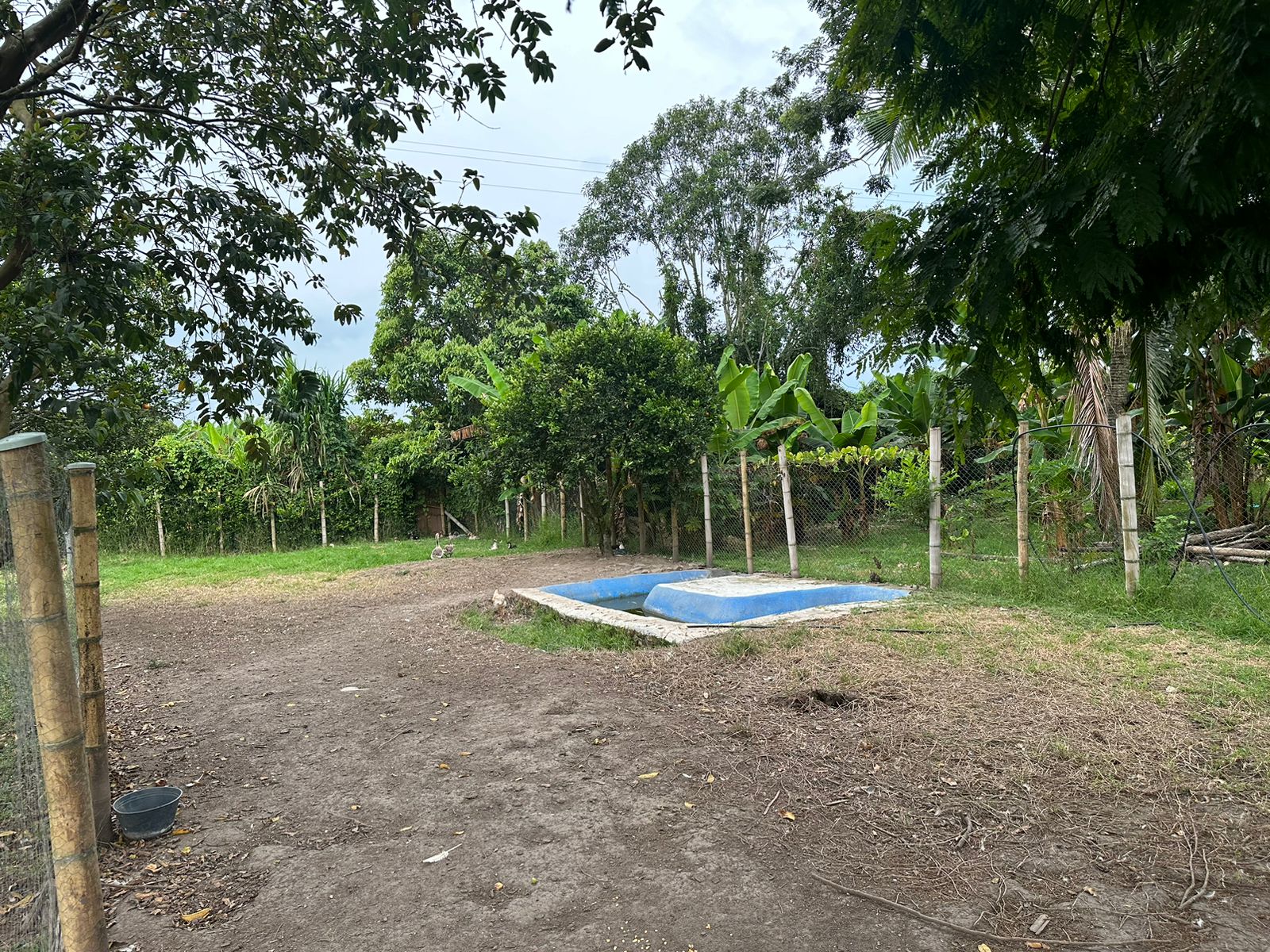 SE VENDE FINCA  EN MONTENEGRO (4).jpg