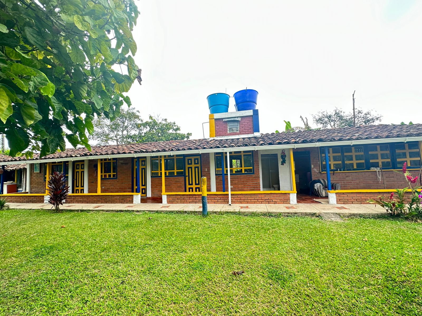 SE VENDE FINCA  EN MONTENEGRO (22).jpg