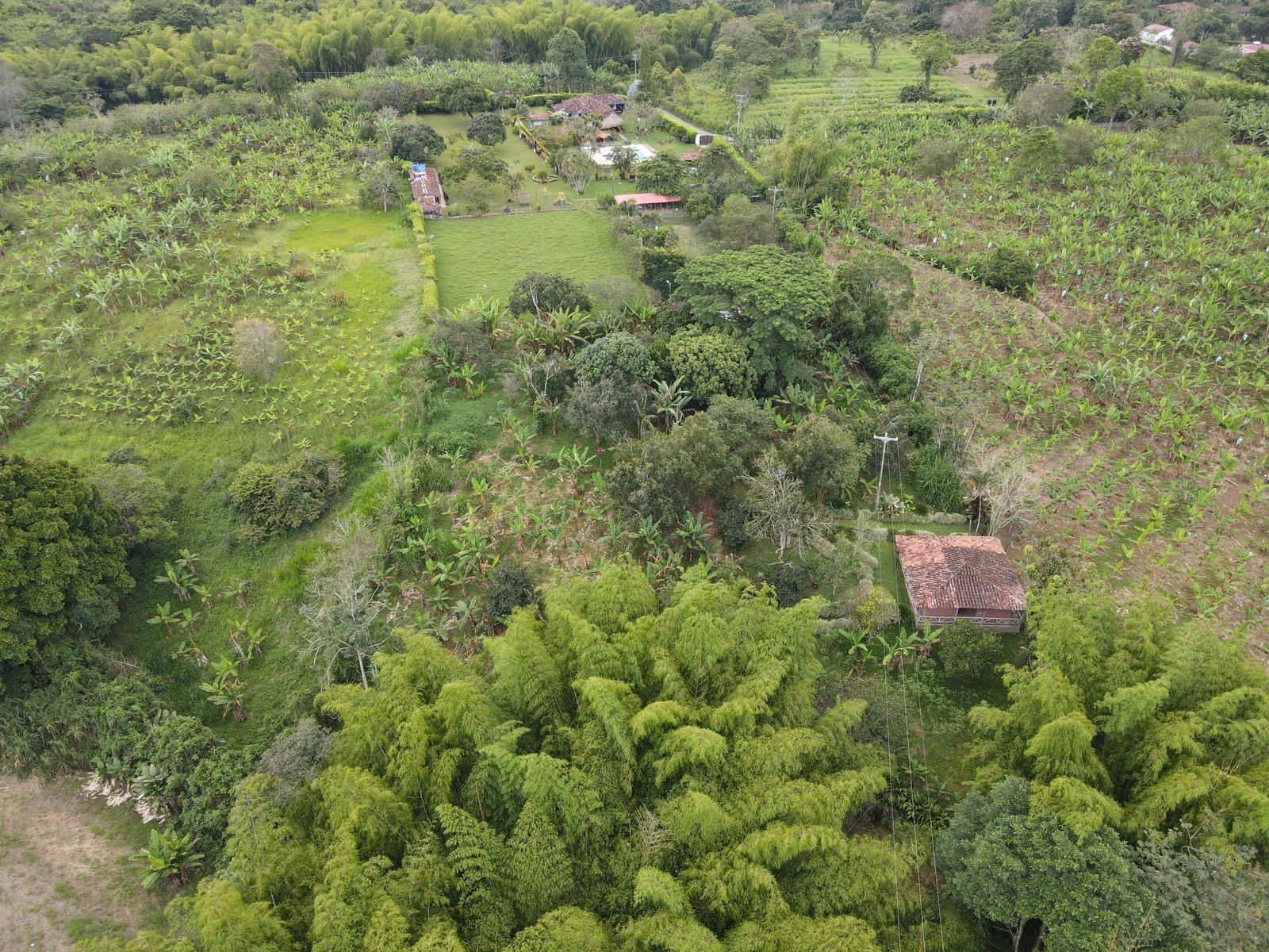 SE VENDE FINCA  EN MONTENEGRO (26).jpg