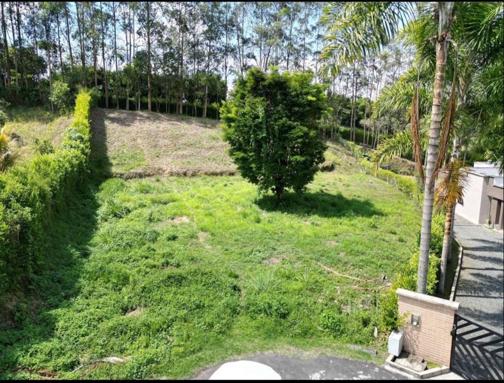 SE VENDE LOTE EN EL SECTOR DE COMBIA PEREIRA (3).jpg