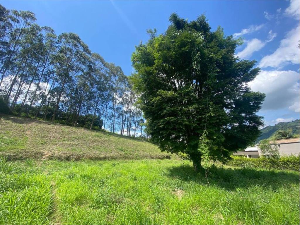 SE VENDE LOTE EN EL SECTOR DE COMBIA PEREIRA (4).jpg