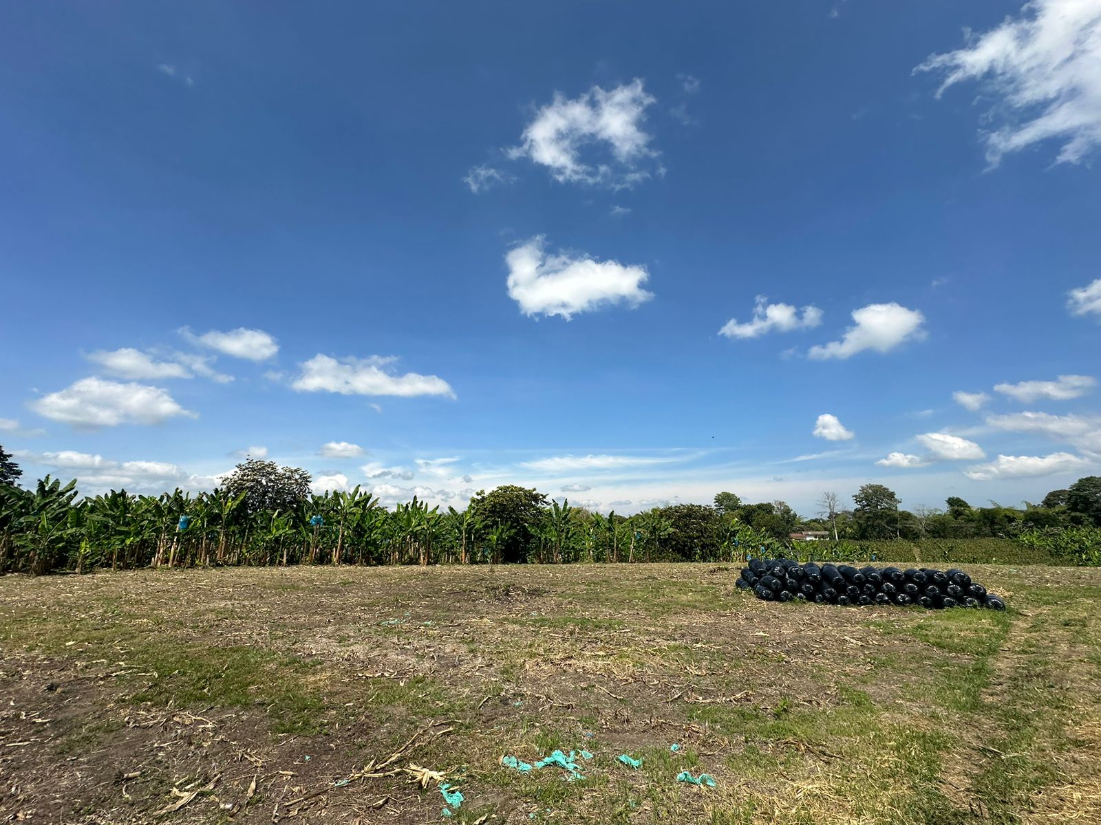 se vende finca lote tebaida- quindio (14).jpg