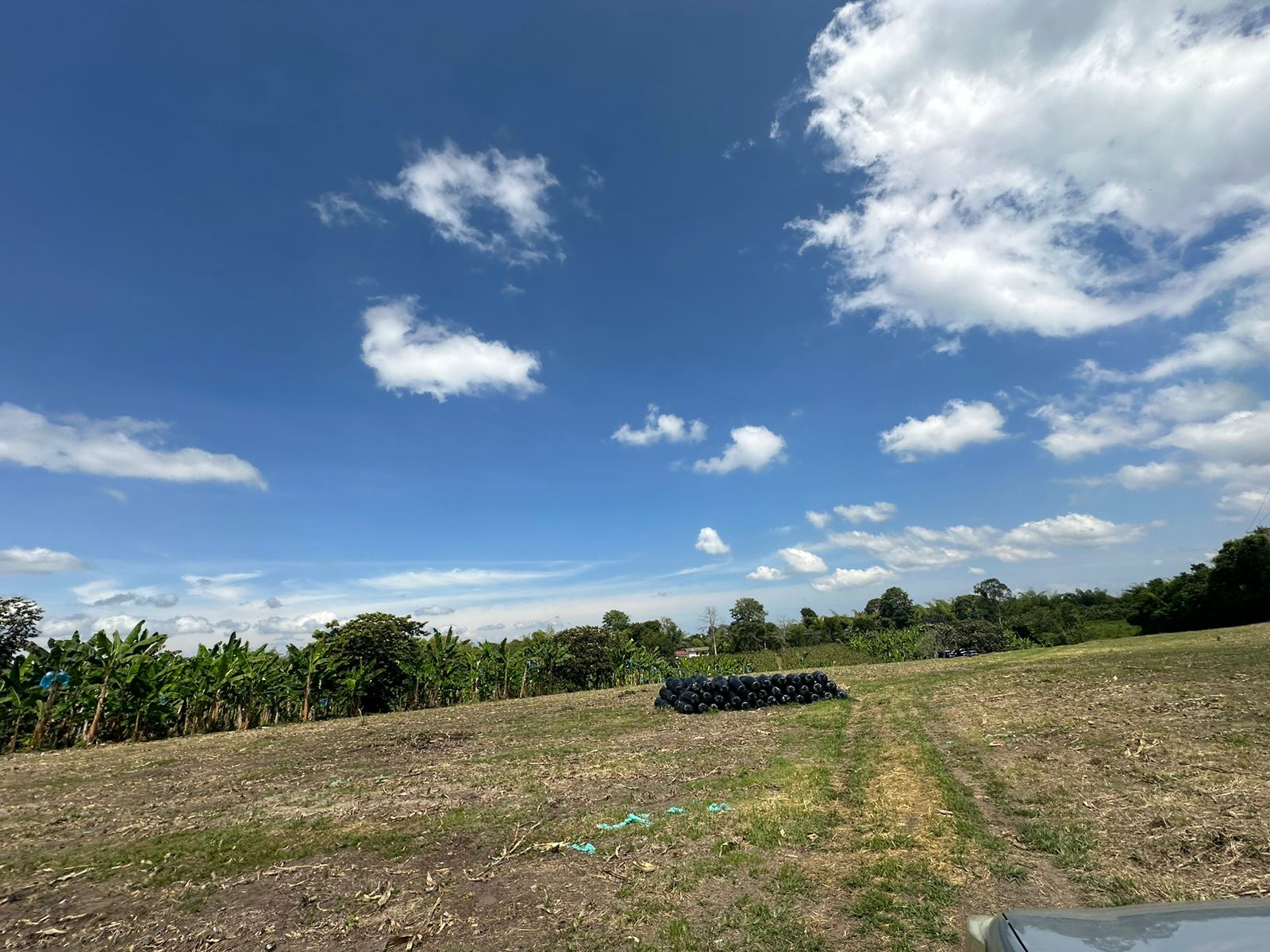 se vende finca lote tebaida- quindio (29).jpg