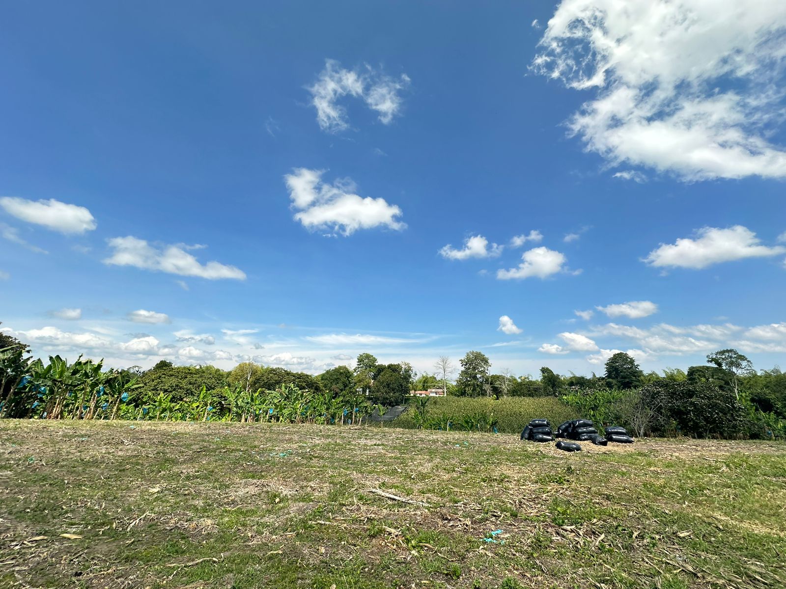 se vende finca lote tebaida- quindio (27).jpg