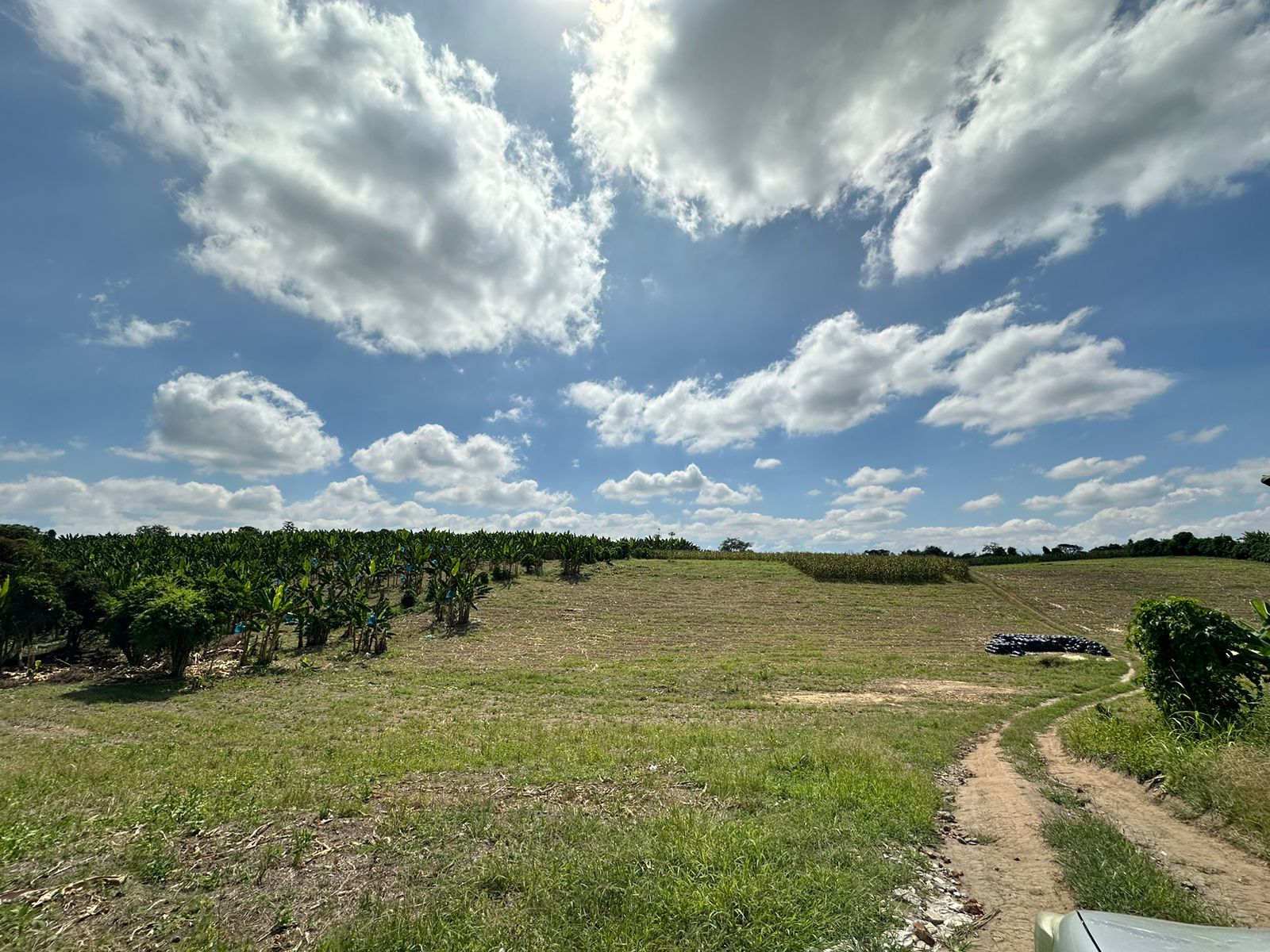 se vende finca lote tebaida- quindio (18).jpg