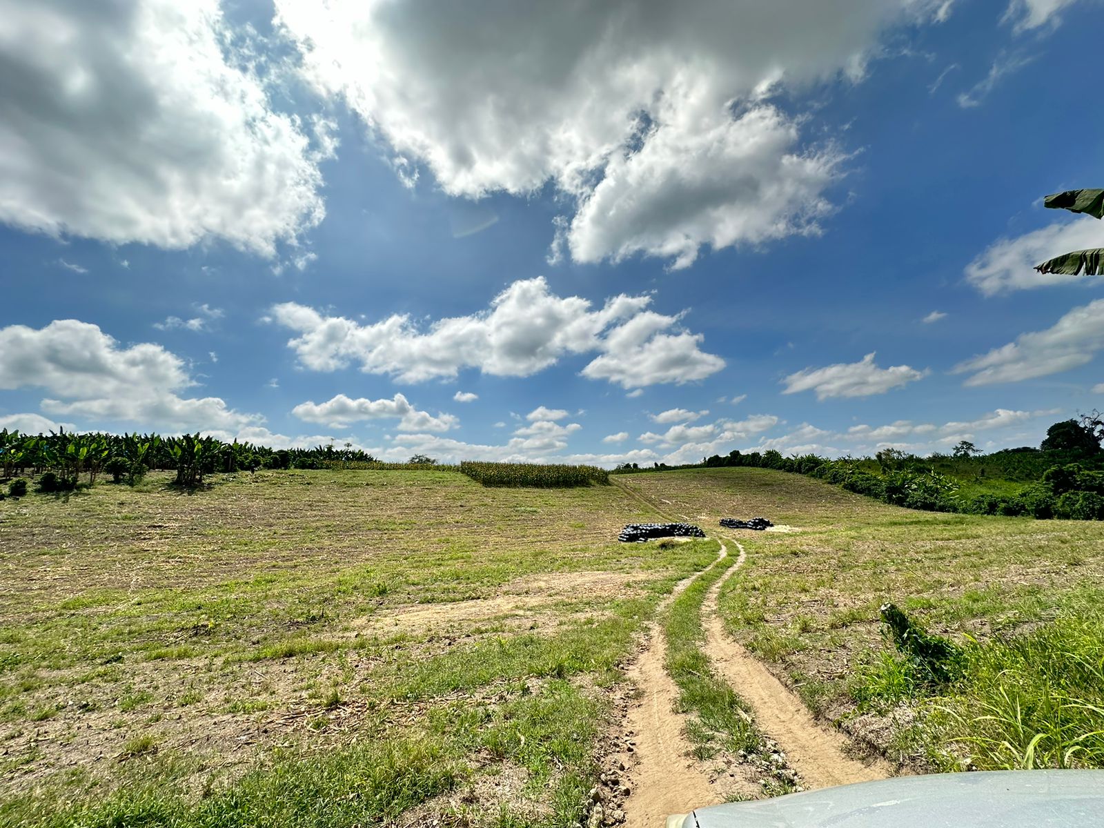 se vende finca lote tebaida- quindio (28).jpg