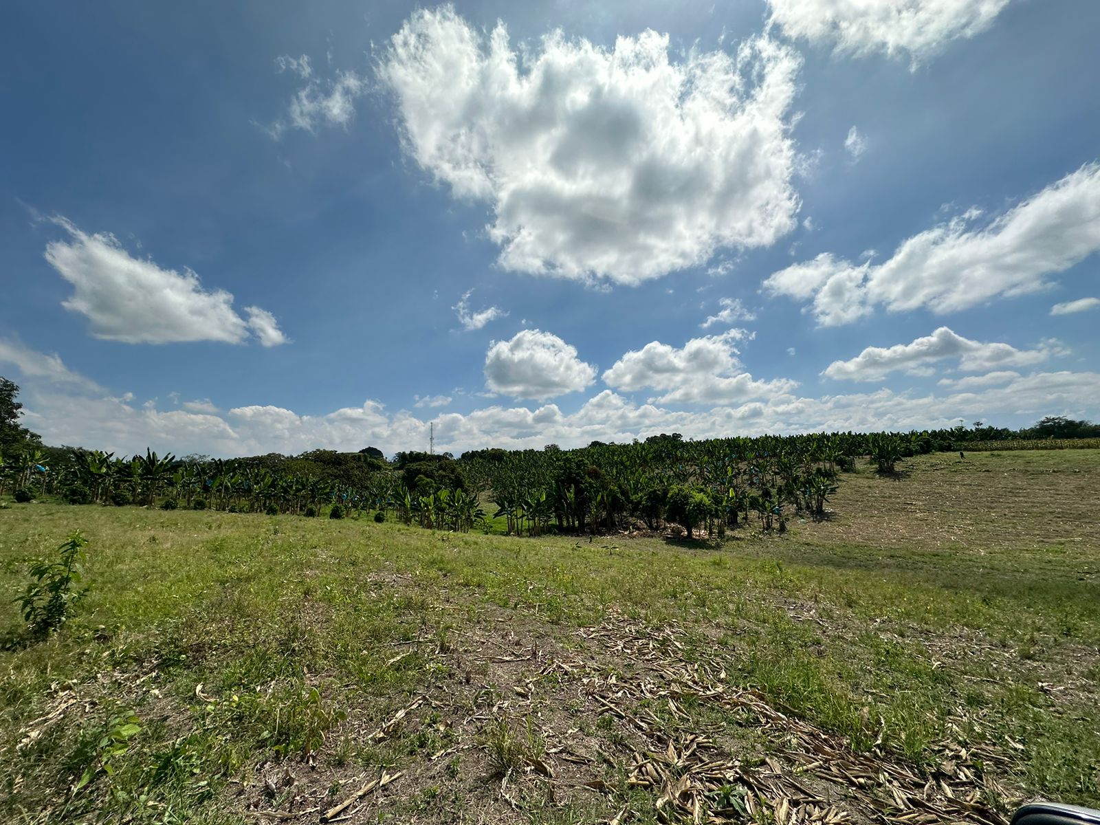 se vende finca lote tebaida- quindio (17).jpg